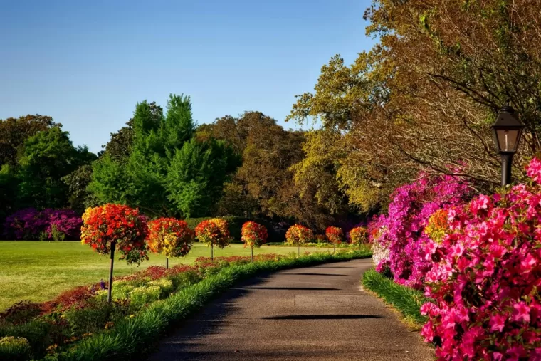 Jardinage